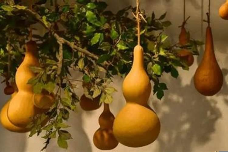 财位挂葫芦要注意什么