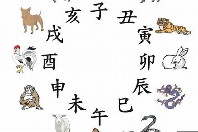 与属马犯冲的属相，男属马和什么属相最不配