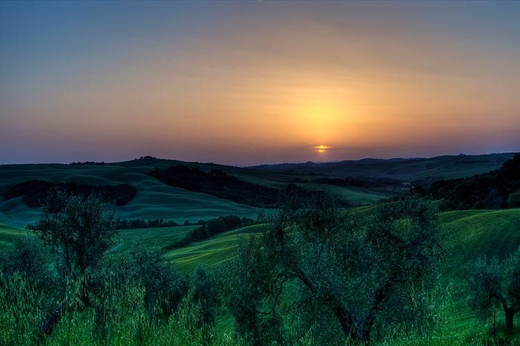 生肖属鸡的几月份出生最好？生肖鸡几月出生好