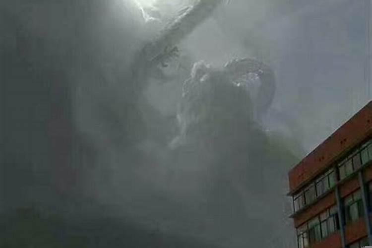 为什么龙都是下雨才出来