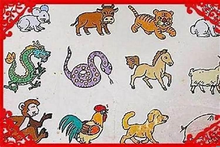 十二生肖怎样婚配最好？1992年属猴婚姻正缘生肖