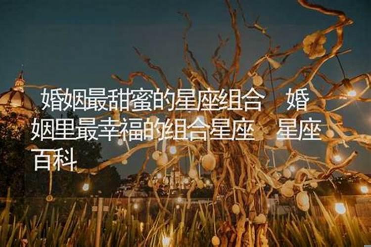 哪些生肖配对姻缘最完美？属狗和什么属相最合适，最合财