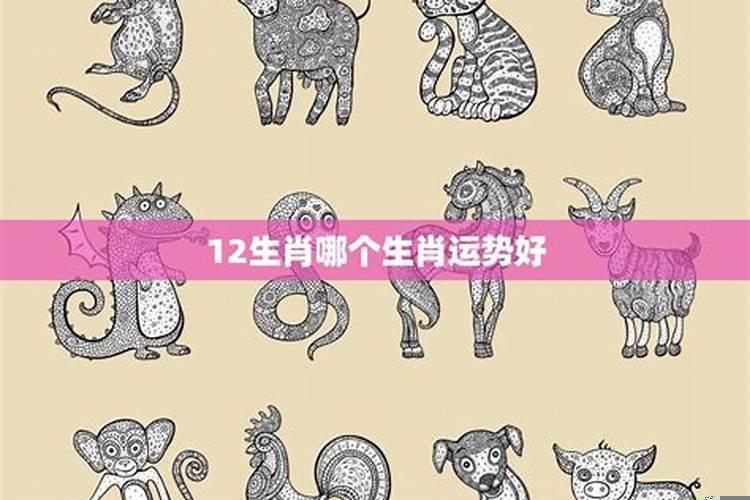 十二生肖运势大预测(属蛇人今天的财运怎么样)