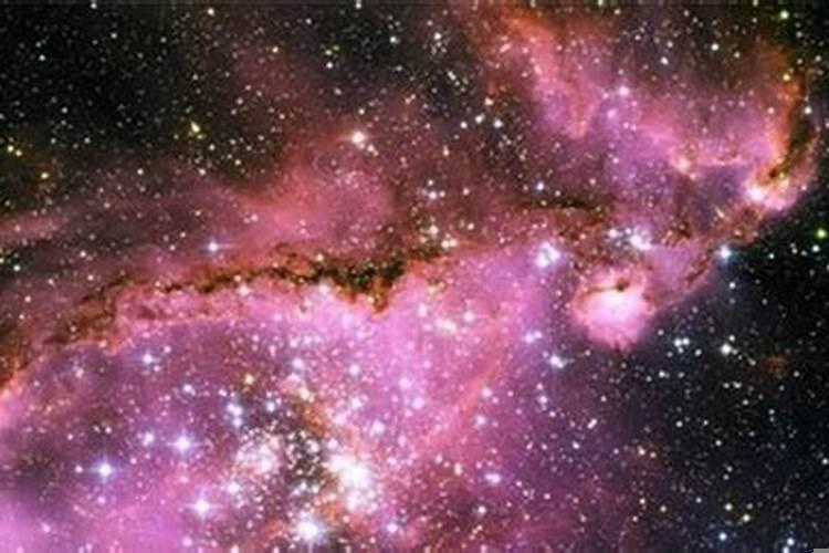 紫微天相入命，天相入福德宫