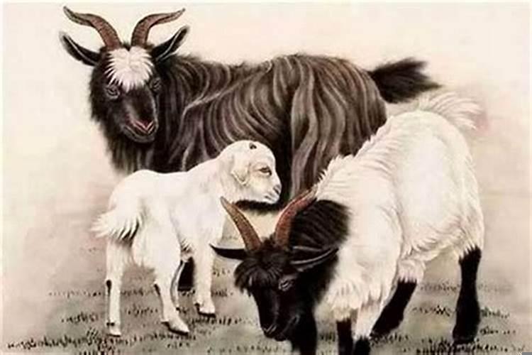 66年属马女和67年属羊男能相匹配吗？属羊的和属马的合不合婚配