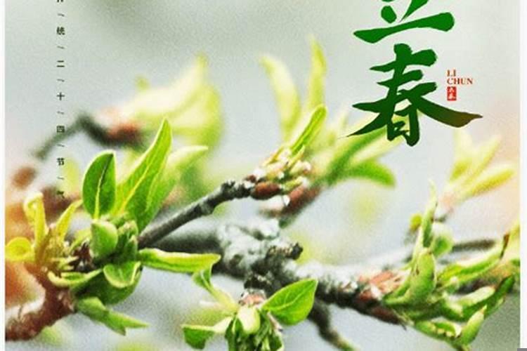 2025年立春什么属相躲春？立春哪个生肖犯太岁？