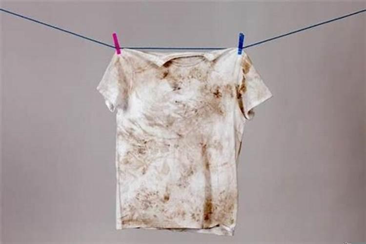 做梦梦到沾到屎 梦见裤子上沾到屎