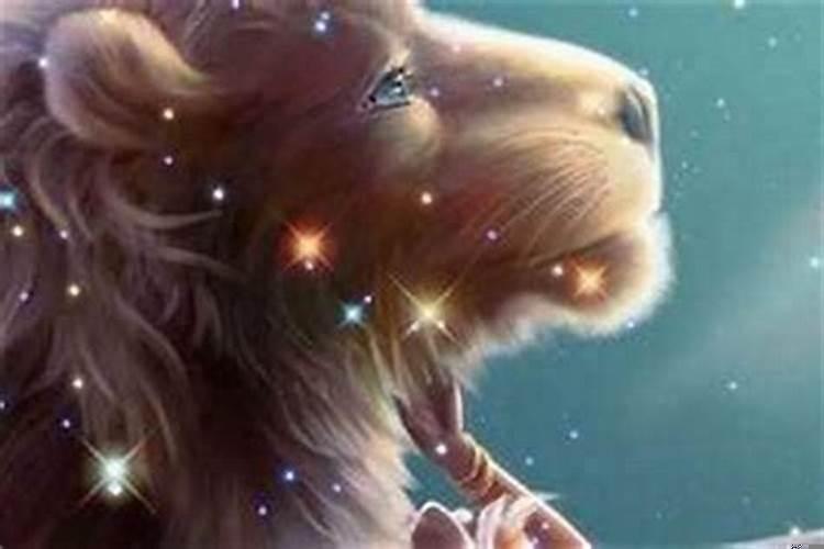 狮子座有多爱吃醋？狮子座的男生爱吃醋吗