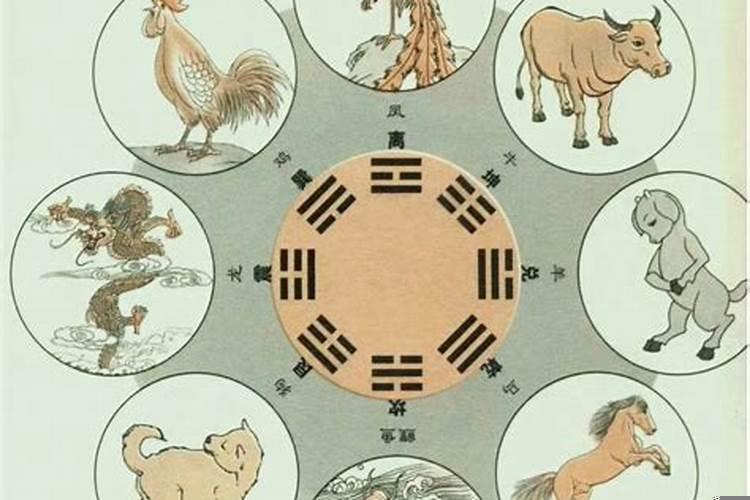 属羊和属虎的母子，属虎女和什么属相最配