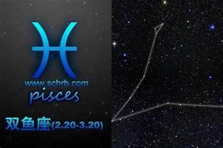 最不老实的星座 属猪双鱼女命运