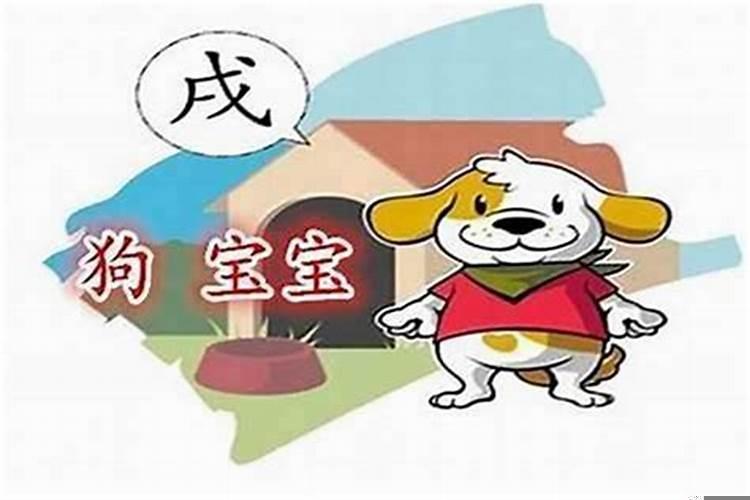 生肖狗哪月出生命最好？属狗的六月份学业运势如何