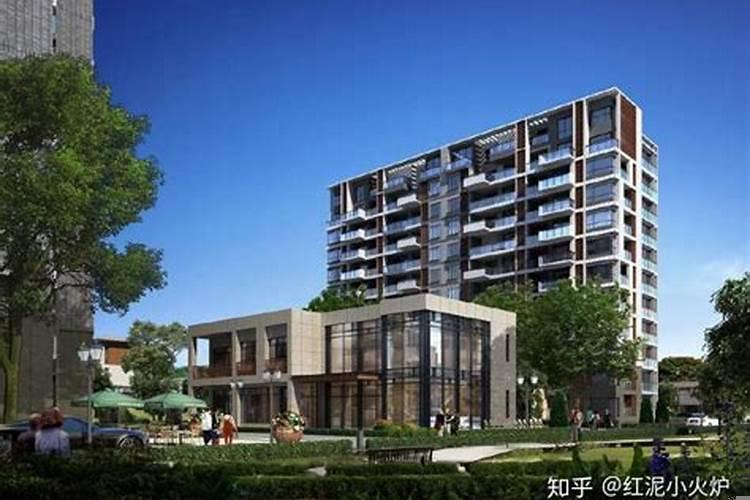 适宜摆放在办公室的植物有哪些种类