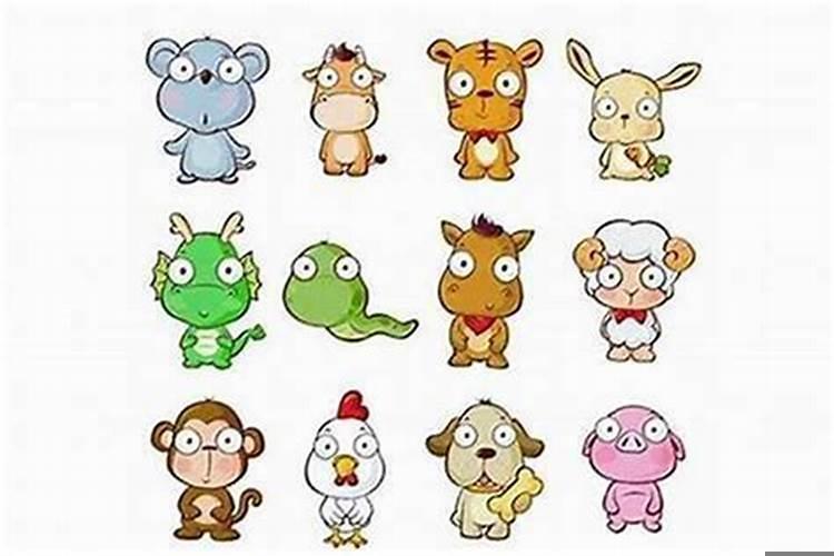 怎么看一个人属相?如何计算个人流年年龄