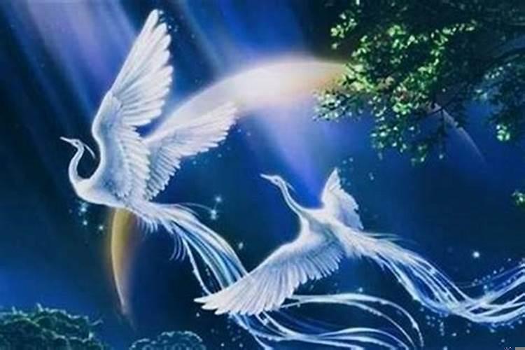 为什么龙都是下雨才出来