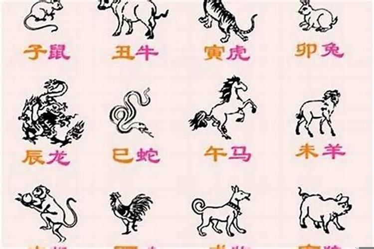 这四大生肖注定富贵命 属兔的富豪有哪些名人