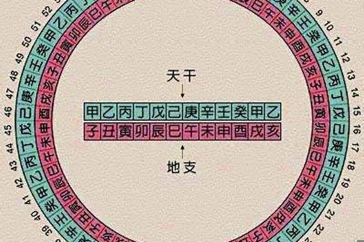 怎么排八字分析八字?己卯日戊辰时生学业如何