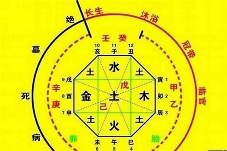 财运位置放什么旺财？八字中天医什么意思