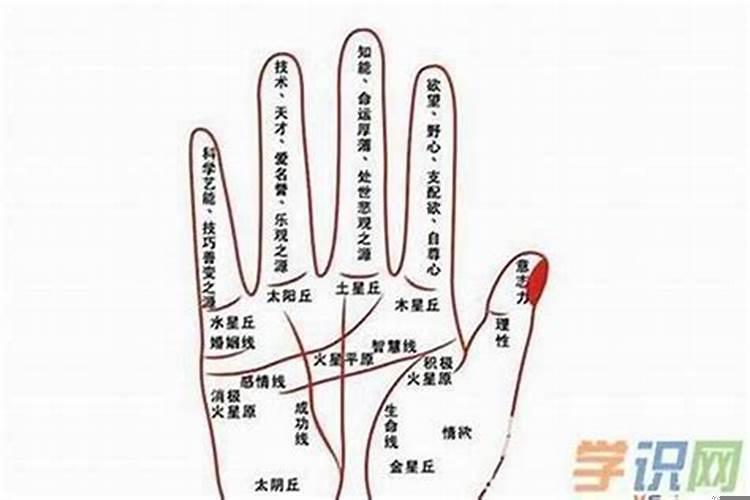 不适合早婚的人早婚了会怎样?感情线上面有横线