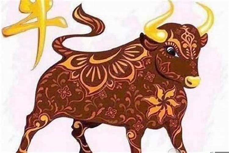 生肖牛的今年爱情运势(正印大运利学业吗)