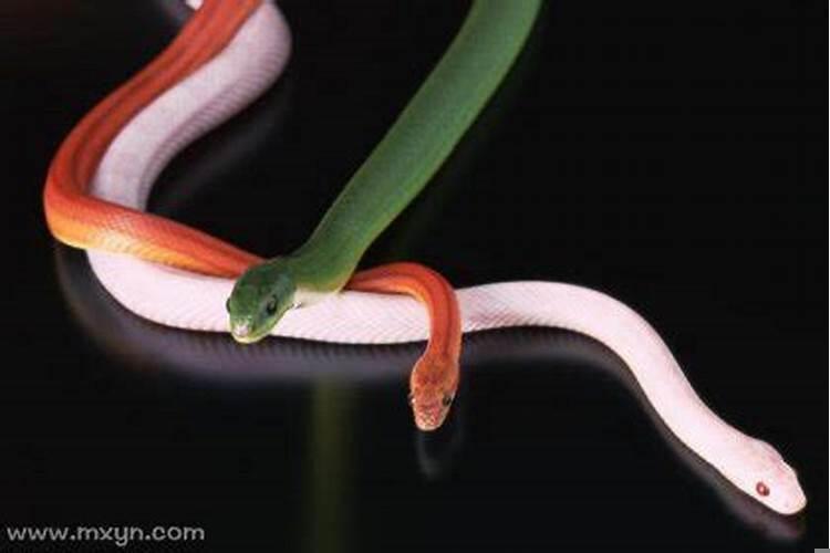 梦到家里着火又被自己扑灭是什么意思？梦见失火又被扑灭是什么预兆呢