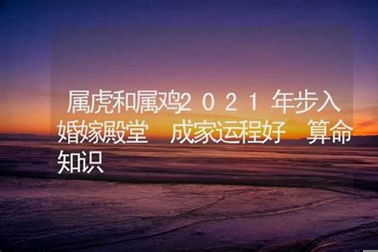 2025年属虎能结婚吗？属虎和属虎的婚姻好吗？他们的感情会如何发展？