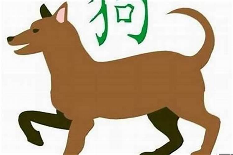 属狗的财神(1994年属狗女一生婚姻运势)