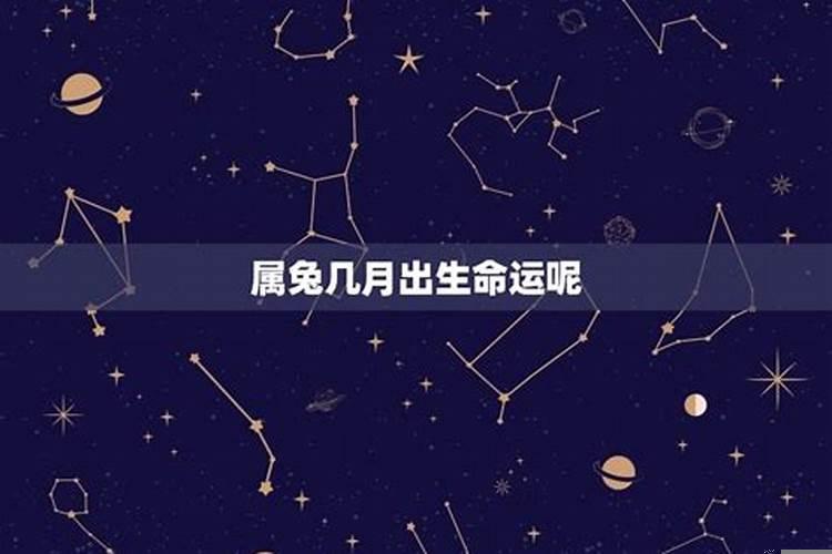 属兔八月份运势如何？兔和哪个生肖事业上才会好相处