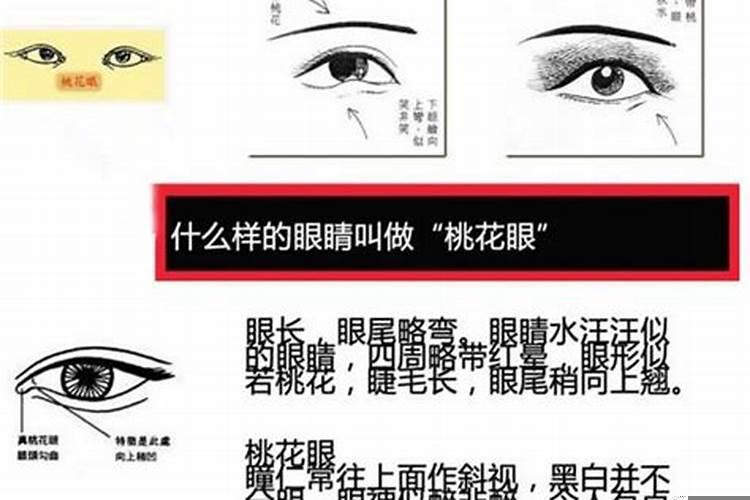 桃花眼的人性格命运，挽回感情挽救挽回