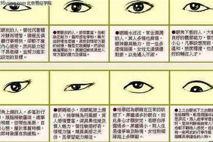 事业成功的女人面相是怎样的呢