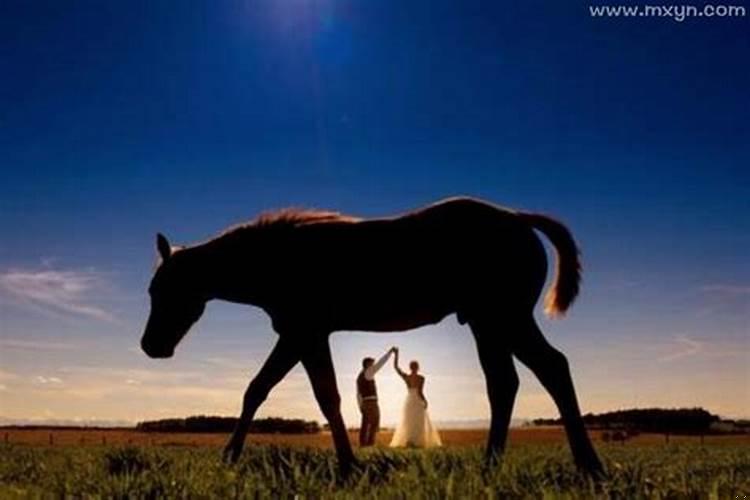 做梦梦到会飞的马，梦到马飞上天