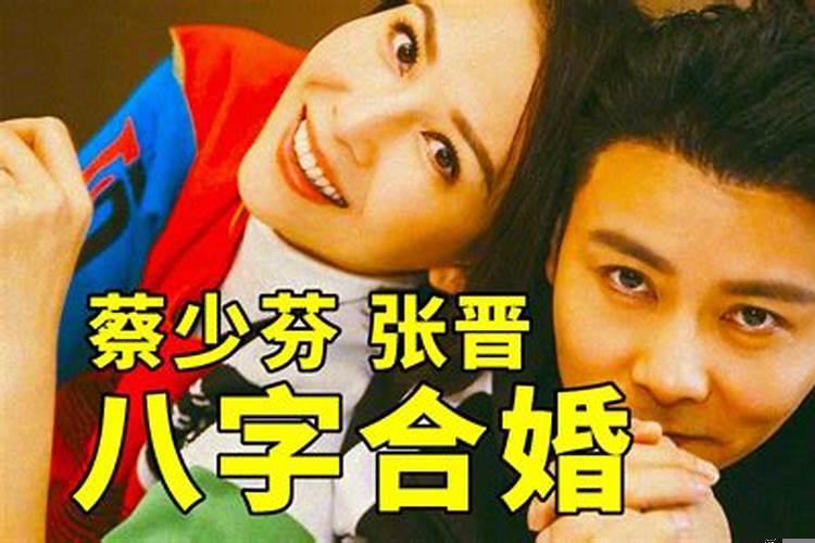 财多身弱的特点？蔡少芬八字分析