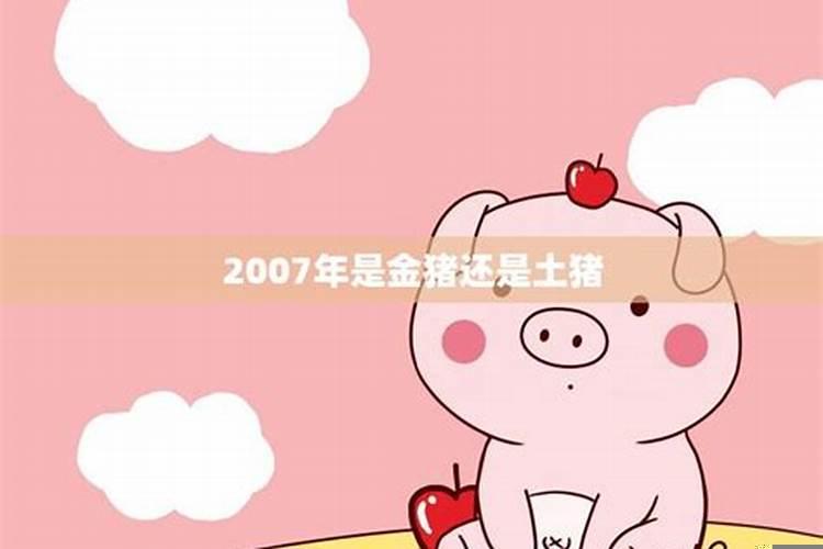 2007年是金猪还是土猪？2007年是什么年庚