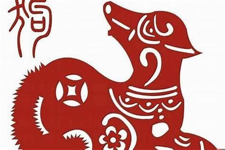 男属龙女属狗相配吗婚姻？龙男与女狗婚配怎么样