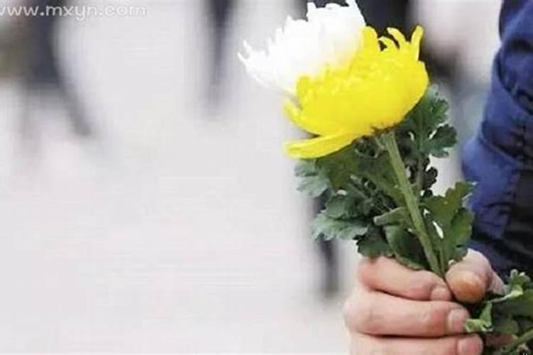 梦见拜祭亲人的坟墓（梦见和家人去扫墓）