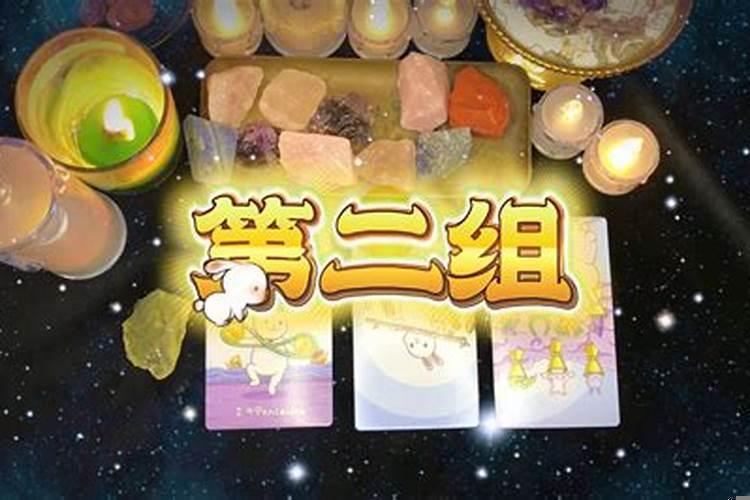 梦到什么有财运?梦见蛇是什么预兆!