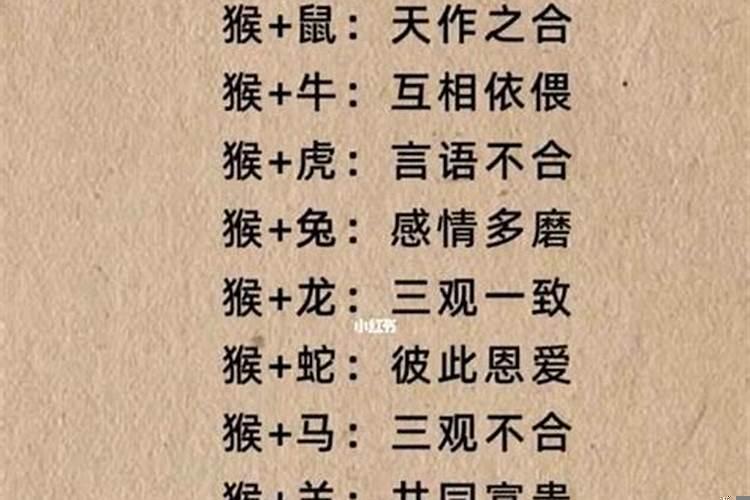 1968年属猴什么命运？68年的猴住几层楼合适