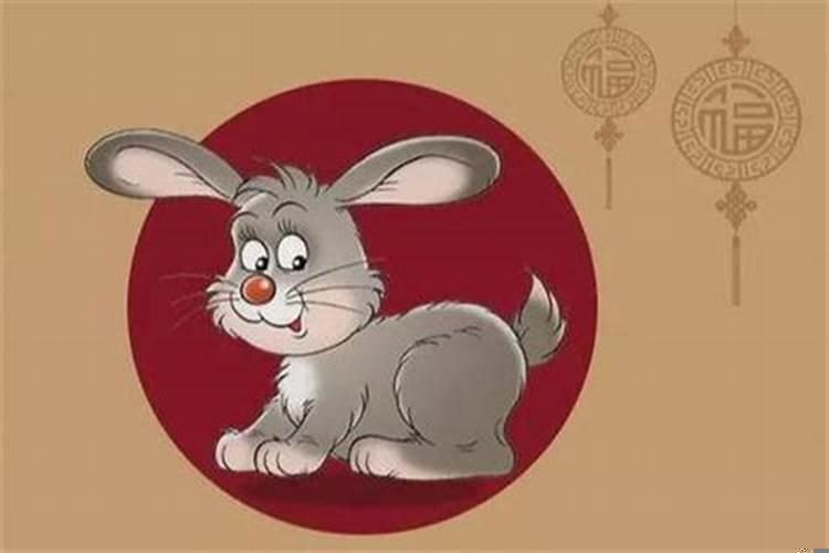 属兔人几点出生的最好命?属兔的人几点出生好