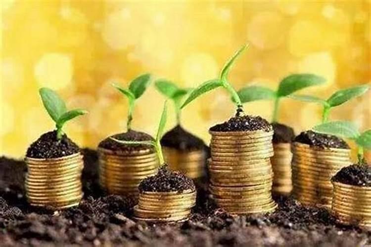 做风水师对后代不好吗