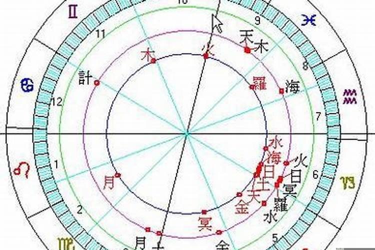 龙跟猪属相配吗的关系