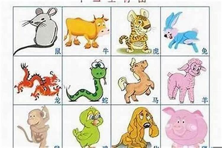 12生肖出生在哪个月好？属狗的人什么月份出生最好