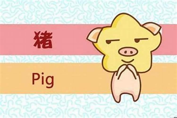 83年属猪男哪年有外遇？属猪的女人出轨是真感情吗