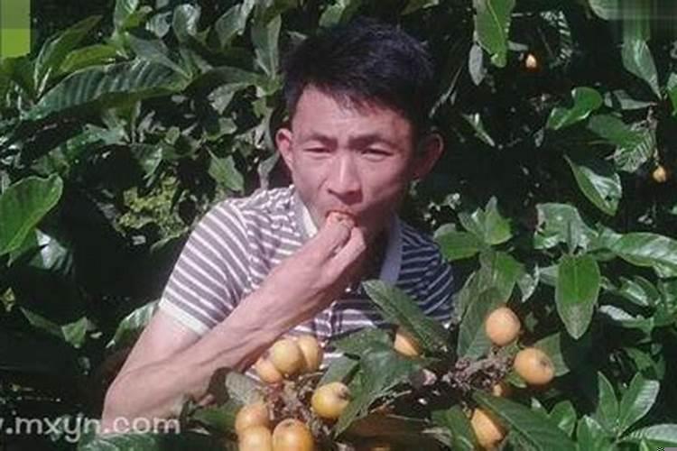 梦见吃果子是什么征兆？梦见吃菜苔是什么意思