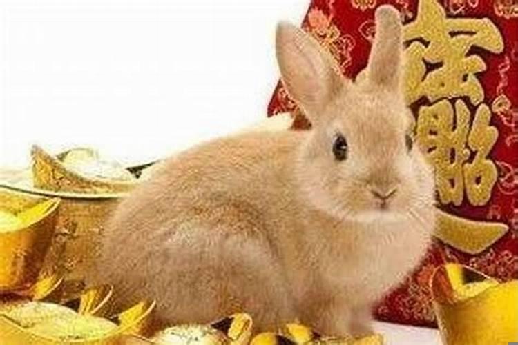 命中含金的三大生肖女(天乙贵人一定好吗)