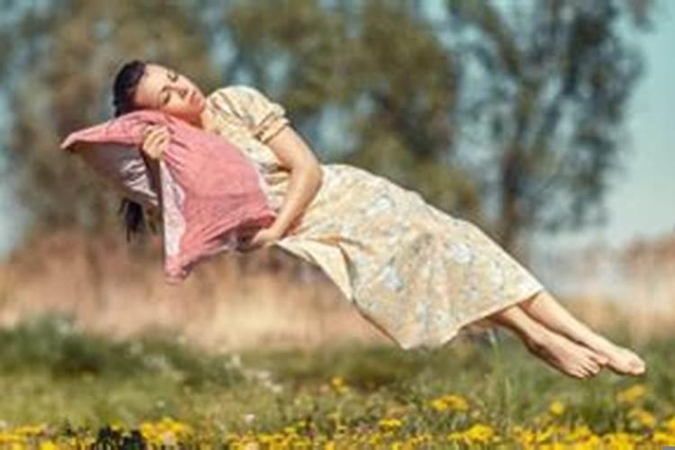 人是清醒的但是还在做梦,梦见很多鸟 意味着什么呢?