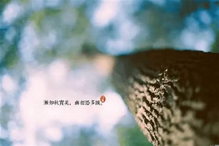 家里出现好运的征兆(财运变好有什么征兆)