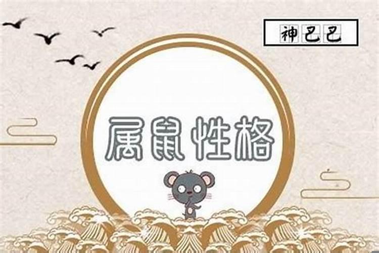 属鼠女人有什么性格特点呢？属鼠的女人的性格特点