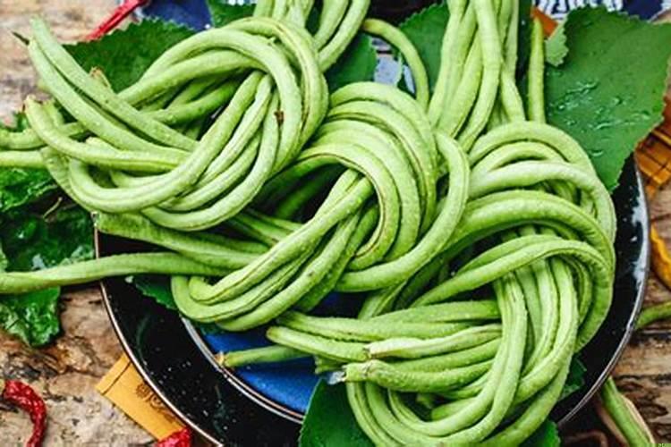 梦见豆角架上全是豆角,梦见长豆角是什么意思周公解梦