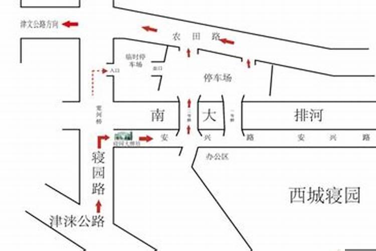 鱼缸内养多少鱼合适