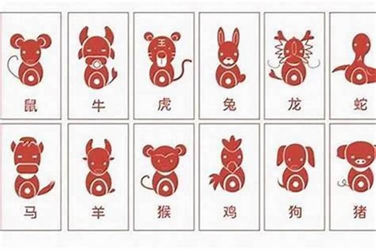 容易离婚的生肖配对(属狗女和什么相配最好婚姻)