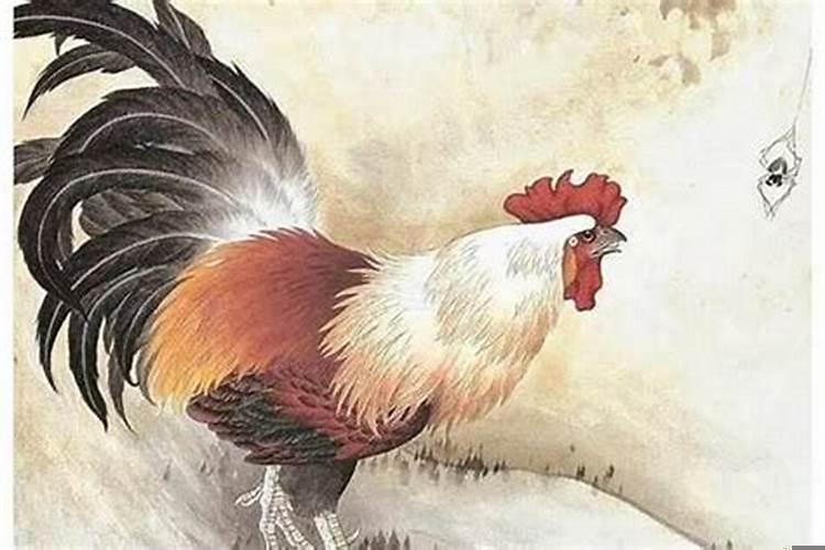 属鸡的今年贵人属相(属鸡2025年运势)